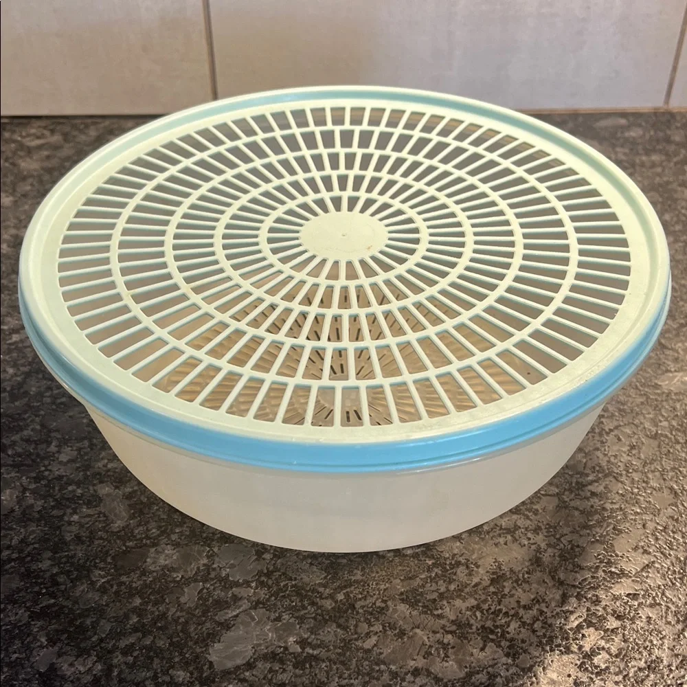 10” Vintage Round Plastic Colander with Lid. Excellent condition